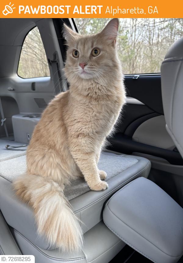Found/Stray Female Cat last seen Near Ridgewood Way , Alpharetta, GA 30005