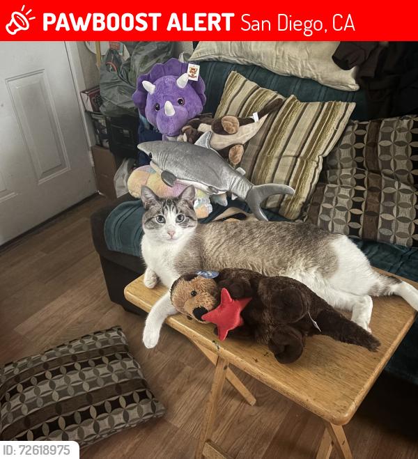 Lost Female Cat last seen Near Logan ave, San Diego, CA 92113