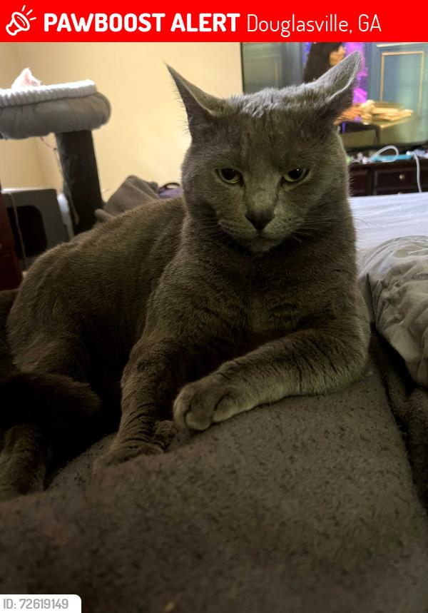 Lost Male Cat last seen Douglas Ridge Trail, Douglasville, GA 30135