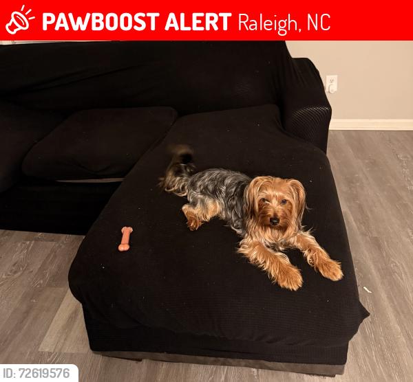 Lost Male Dog last seen Barwell rd Raleigh, NC 27610, Raleigh, NC 27610