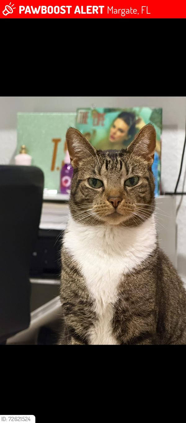 Lost Male Cat last seen Near , Margate, FL 33068