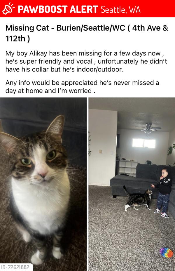 Lost Male Cat last seen 4th Ave , Seattle, WA 98146