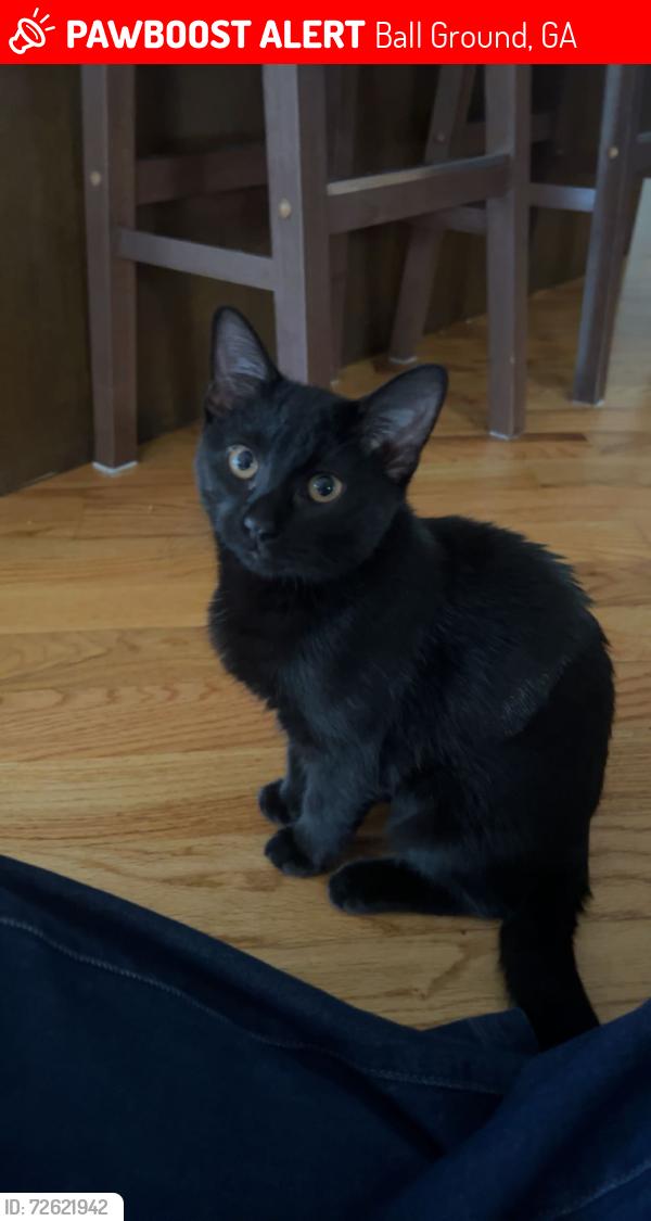 Lost Female Cat last seen Upper Bethany, Clayton Food Store, Clayton Elementary, Ball Ground, GA 30107