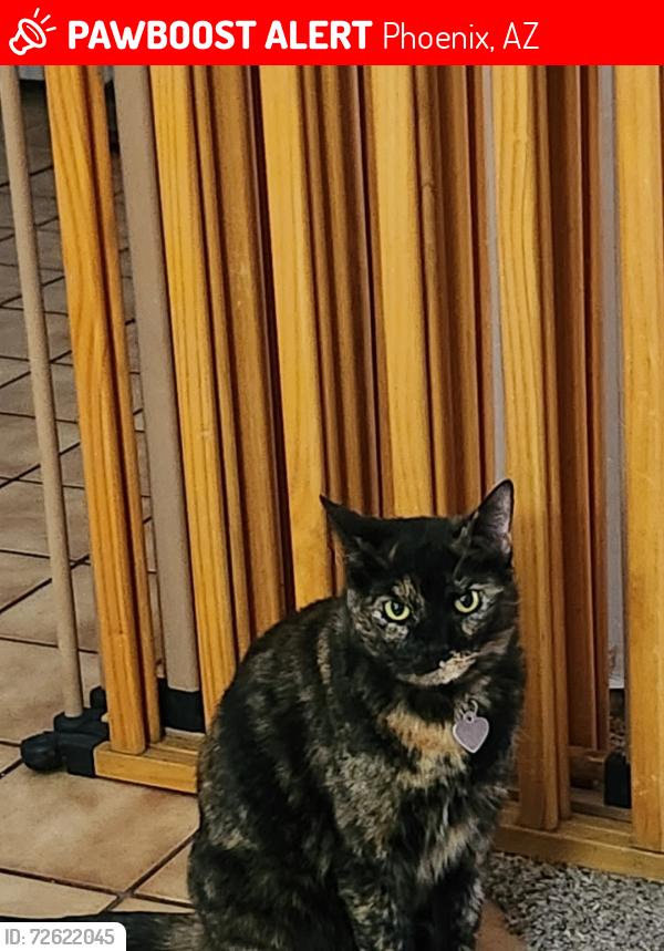 Lost Female Cat last seen 57th ave and Indian school , Phoenix, AZ 85031