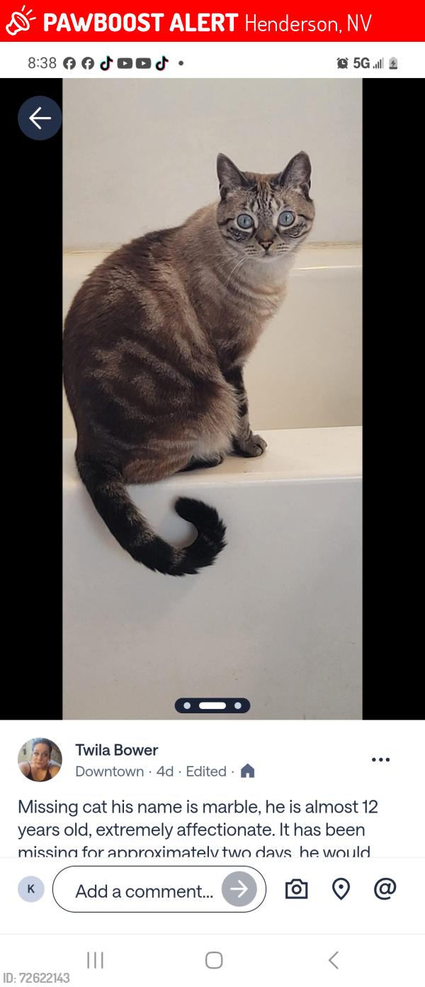 Lost Male Cat last seen Basic and water street , Henderson, NV 89015