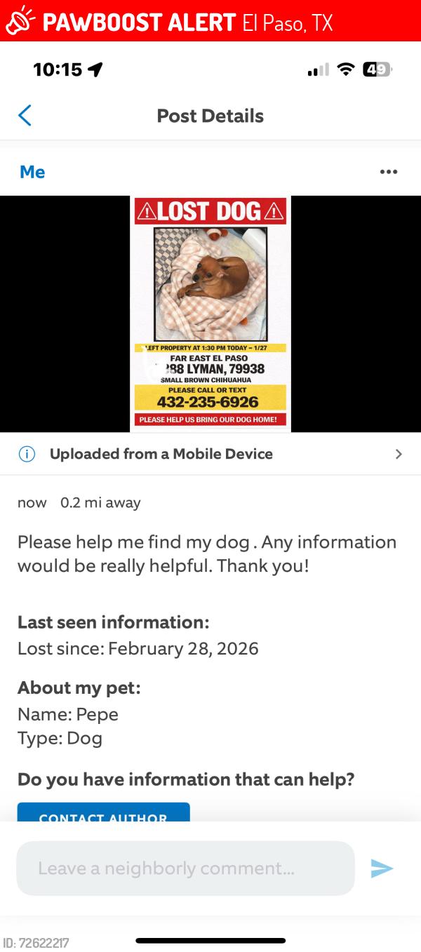 Lost Male Dog last seen Lyman far east, El Paso, TX 79938