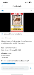 Lost Male Dog last seen Lyman far east, El Paso, TX 79938