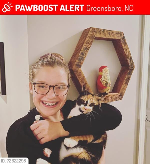 Lost Female Cat last seen Near River hills Dr Greensboro , Greensboro, NC 27410