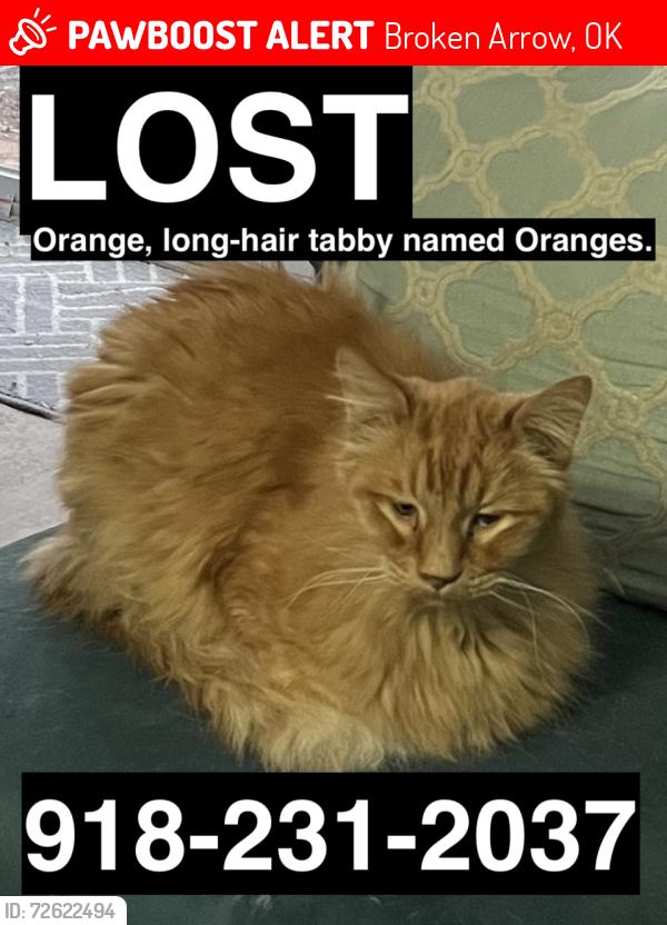 Lost Male Cat last seen W. Jefferson Street and W. Jefferson Place/Birch Ave. (Neighborhood near 111th and Elm Place), Broken Arrow, OK 74011