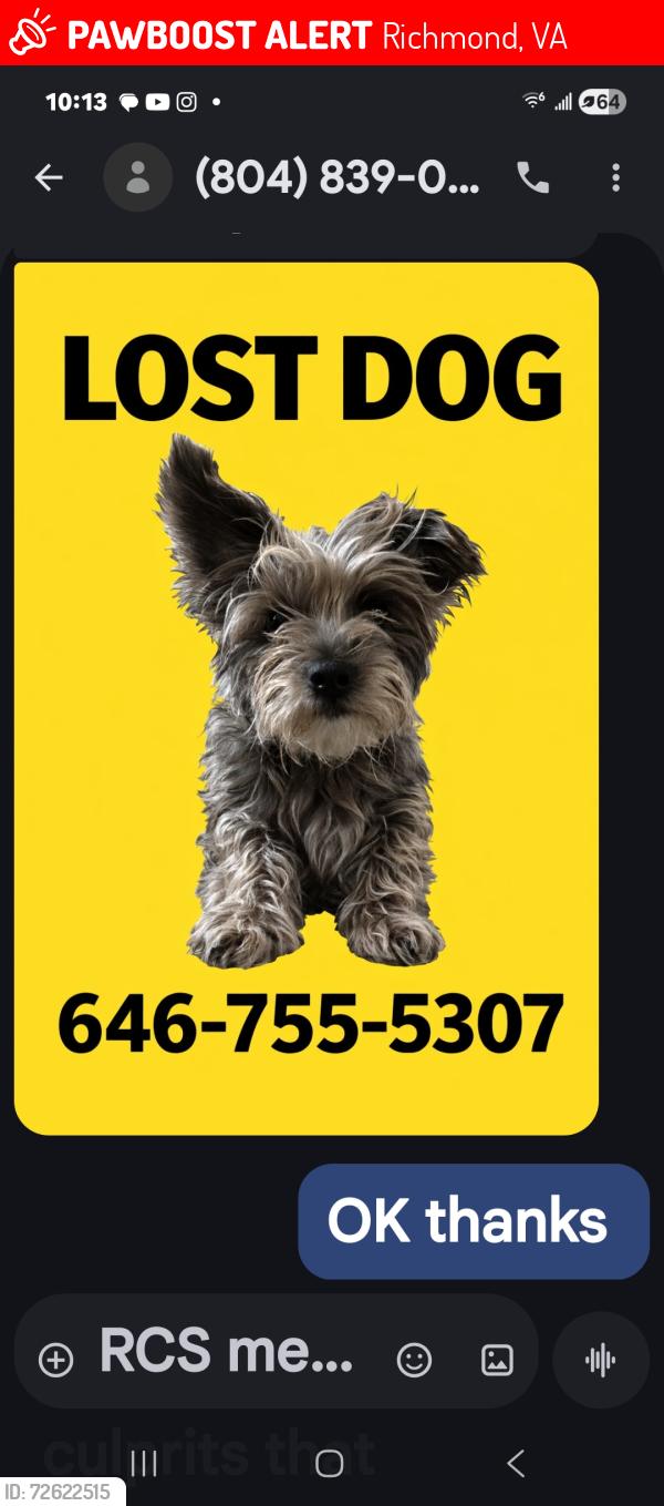 Lost Female Dog last seen Canasta & Old Zion Hill Road, Richmond, VA 23234