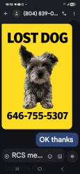 Lost Female Dog last seen Canasta & Old Zion Hill Road, Richmond, VA 23234