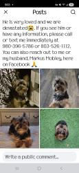 Lost Male Dog last seen Love Road and Ridge Road , Clover, SC 29710