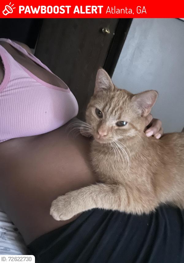 Lost Male Cat last seen Stonebrook apts, Atlanta, GA, Atlanta, GA 30349