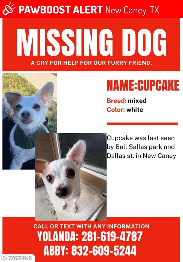 Lost Female Dog last seen Dallas St. new caney tx, New Caney, TX 77357