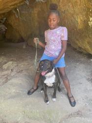 Lost Male Dog last seen McNeil corn creek rd, Rockholds, KY 40759