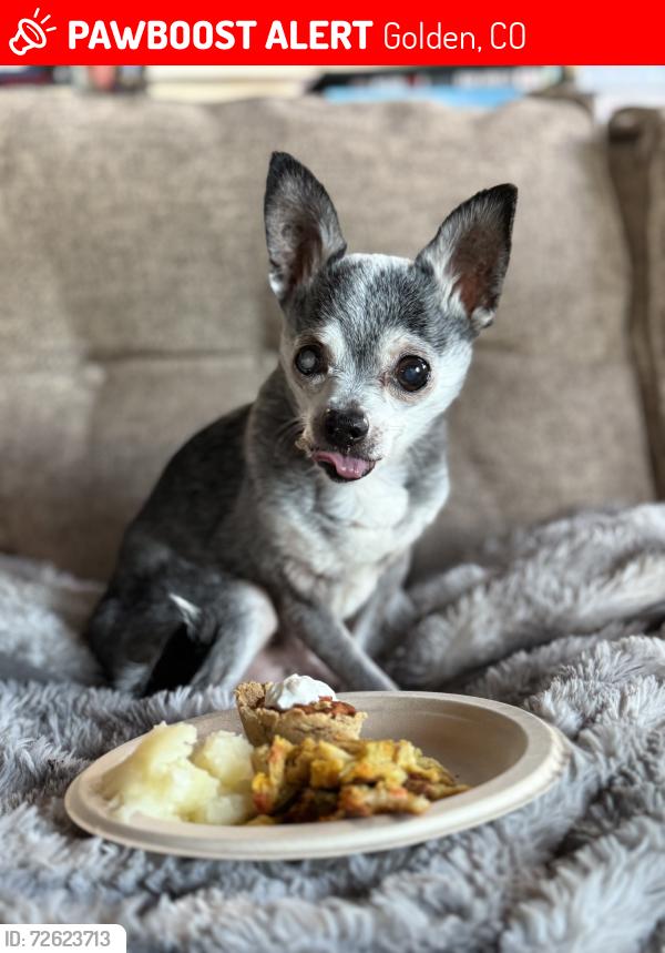 Lost Male Dog last seen Near Jennie Lane, Golden CO 80403, Golden, CO 80403