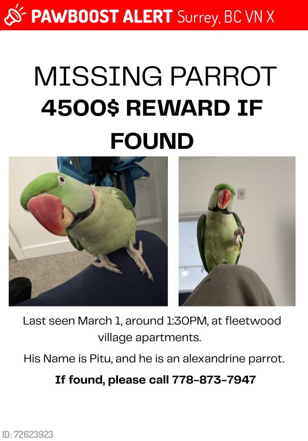 Lost Male Bird last seen Near Fleetwood Park, Surrey, BC V4N 0V2