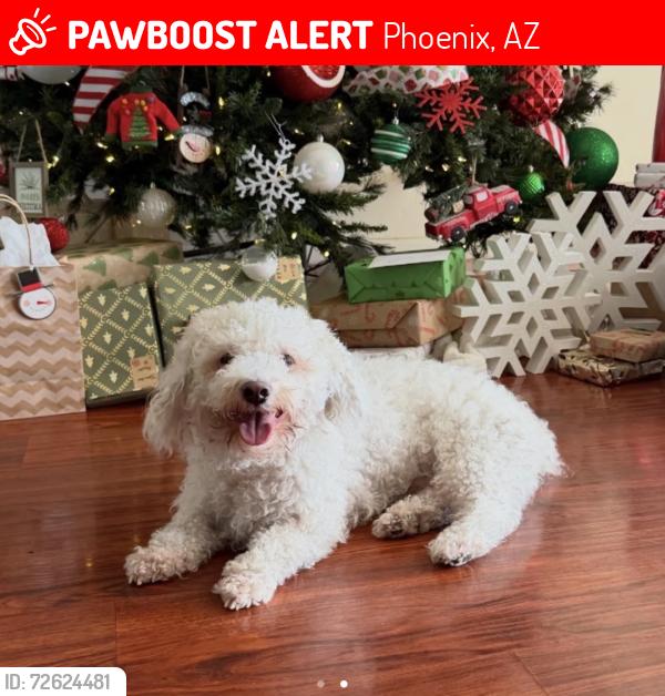 Lost Male Dog last seen Washington Park , Phoenix, AZ 85015