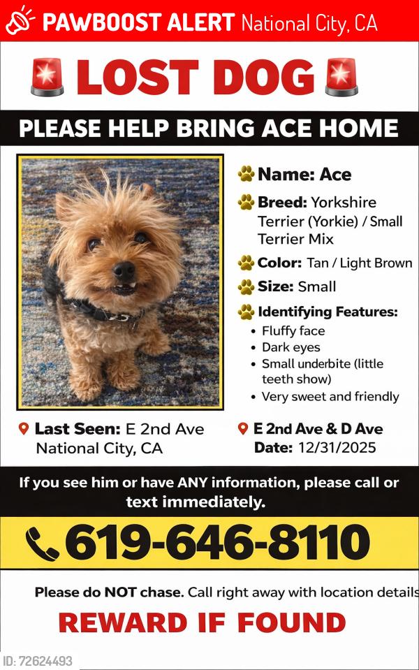 Lost Male Dog last seen DST , National City, CA 91950