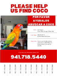 Lost Male Bird last seen M.A Milam K-8 Center , Hialeah, FL 33012