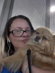 Lost Female Dog last seen Charleston and Sandhill , Las Vegas, NV 89104