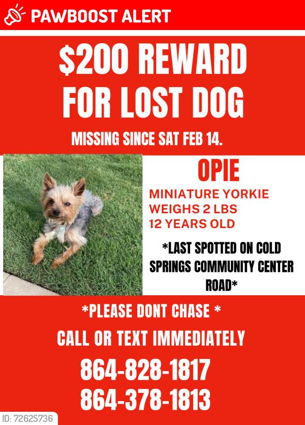 Lost Male Dog last seen Cold Springs center road , Abbeville County, SC 29620