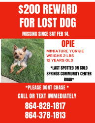Lost Male Dog last seen Cold Springs center road , Abbeville County, SC 29620