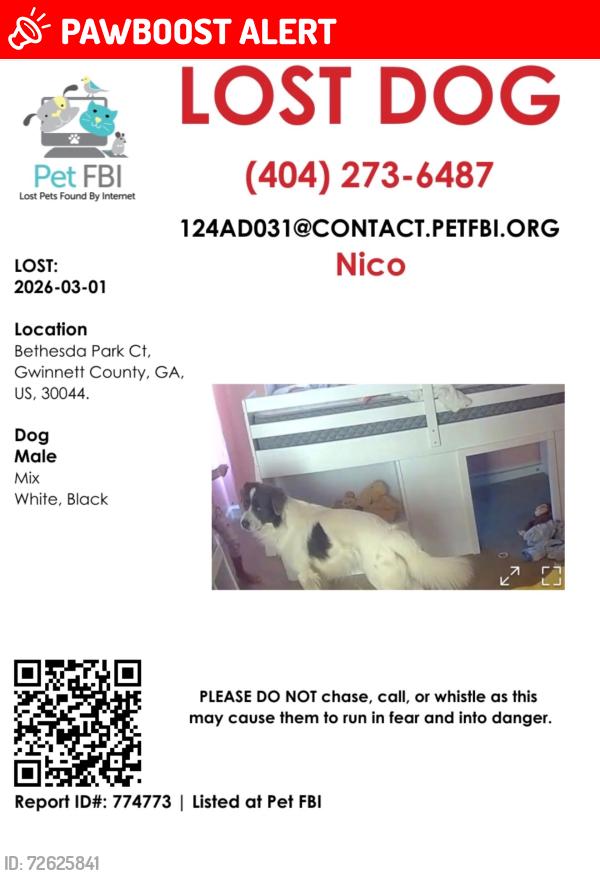 Lost Male Dog last seen Bethesda Park Court, Gwinnett County, GA 30044