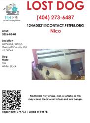 Lost Male Dog last seen Bethesda Park Court, Gwinnett County, GA 30044