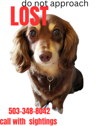 Lost Female Dog last seen Garden  Rd , Portland, OR 97219