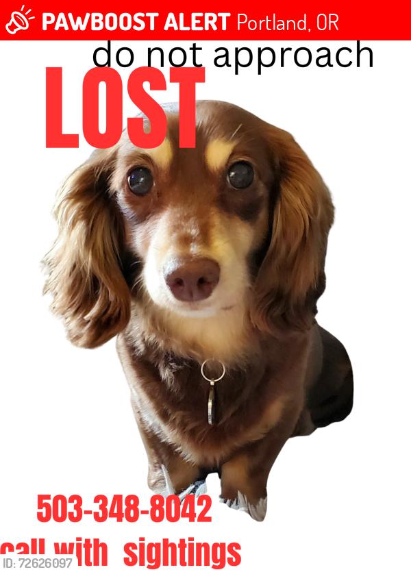 Lost Female Dog last seen Garden  Rd , Portland, OR 97219