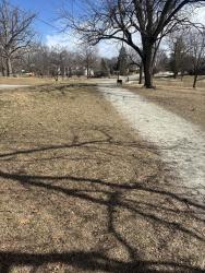 Found/Stray Unknown Dog last seen Dog was heading West on Walnut into Ellenberger Park, Indianapolis, IN 46201