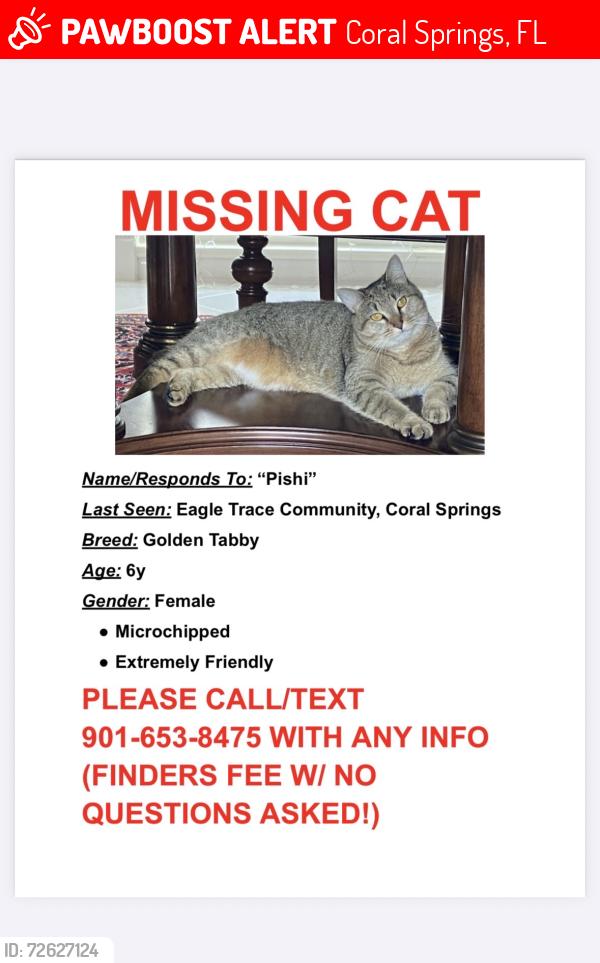 Lost Female Cat last seen Eagle Trace Community, Coral Springs, FL 33071
