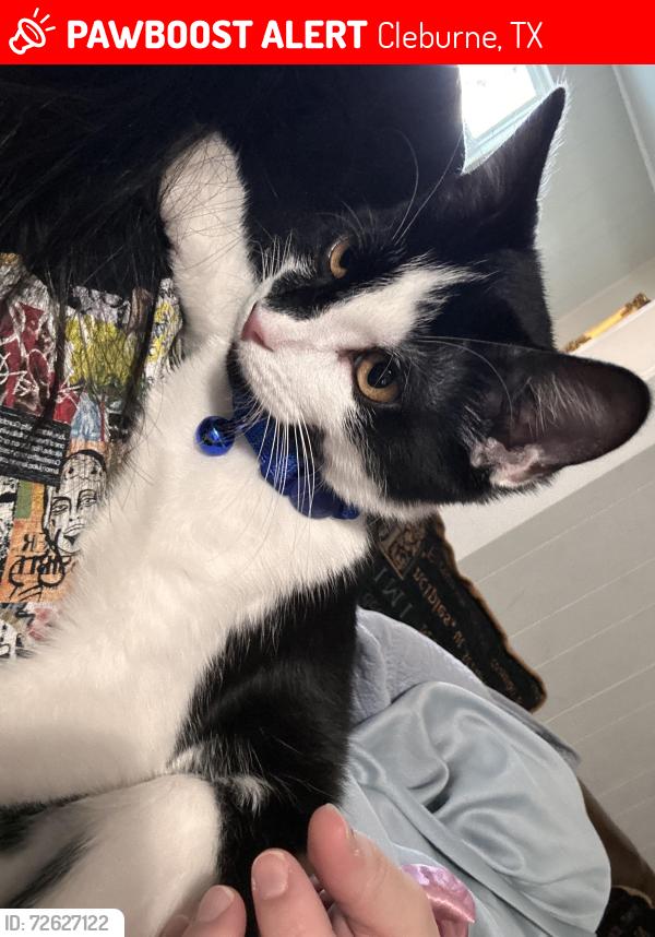 Lost Male Cat last seen Melissa LN, County Road 805, Cleburne, TX 76031