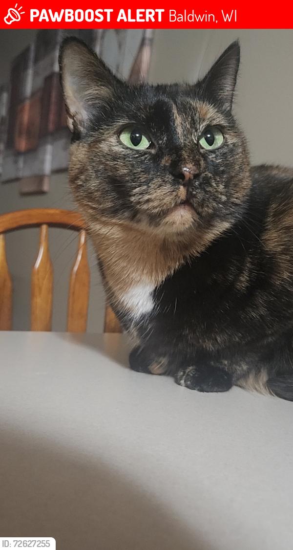 Lost Female Cat last seen Windmill Park, Baldwin, WI 54002