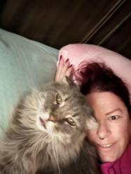 Lost Male Cat last seen Paz Mar apmts, Oxnard, CA 93035