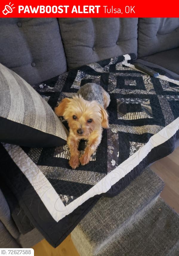 Lost Male Dog last seen Near S Urbana Ave, Tulsa, OK 74136