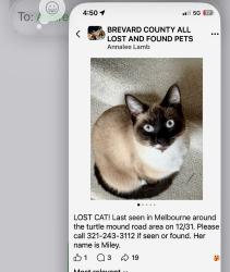 Lost Female Cat last seen Turtlemound snd Parkway, Rockford, OH 45882
