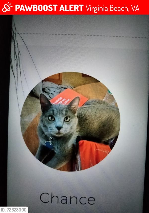 Lost Male Cat last seen Virginia Beach Boulevard, Virginia Beach, VA 23454