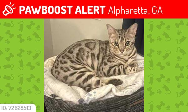 Lost Female Cat last seen Near Saint Simonds Ct, Alpharetta, GA 30022, Alpharetta, GA 30022