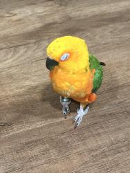 Lost Female Bird last seen Moline and 12th, Aurora, CO 80010