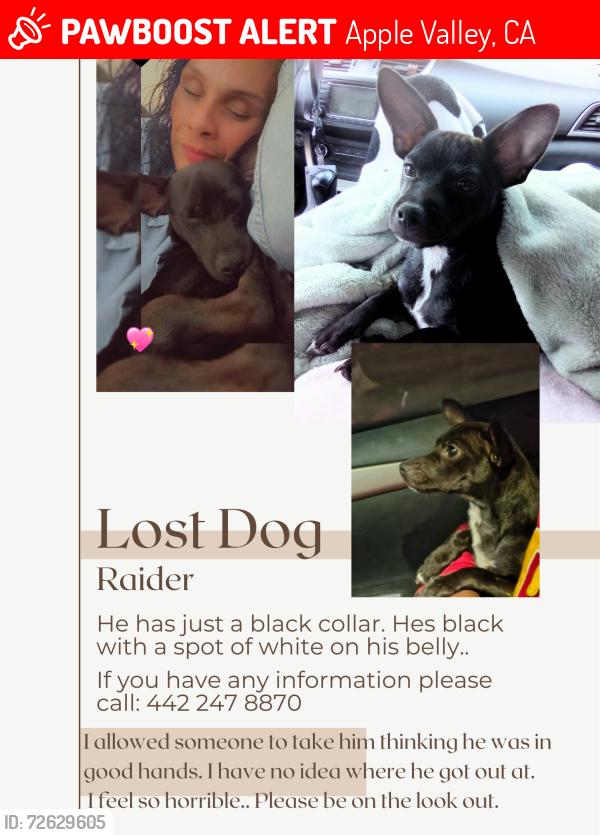 Lost Male Dog last seen High desert area, Apple Valley, CA 92395
