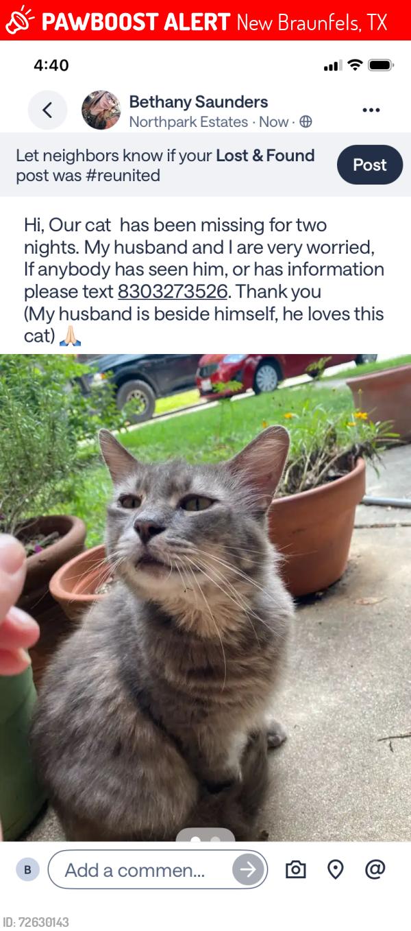 Lost Male Cat last seen North park ridge, New Braunfels, TX 78130