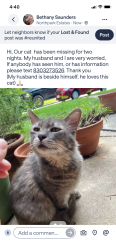 Lost Male Cat last seen North park ridge, New Braunfels, TX 78130