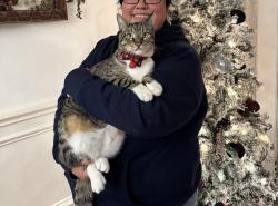 Lost Male Cat last seen Myrtle st , Houston, TX 77087