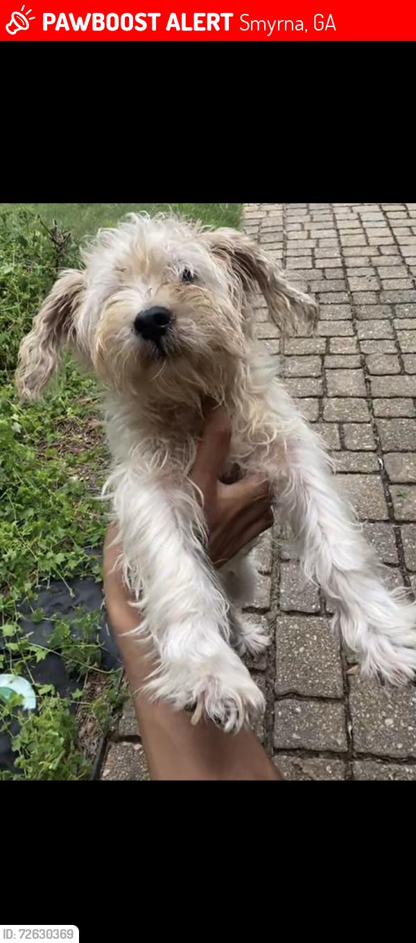 Lost Male Dog last seen Church Road & South Cobb, Smyrna, GA 30080