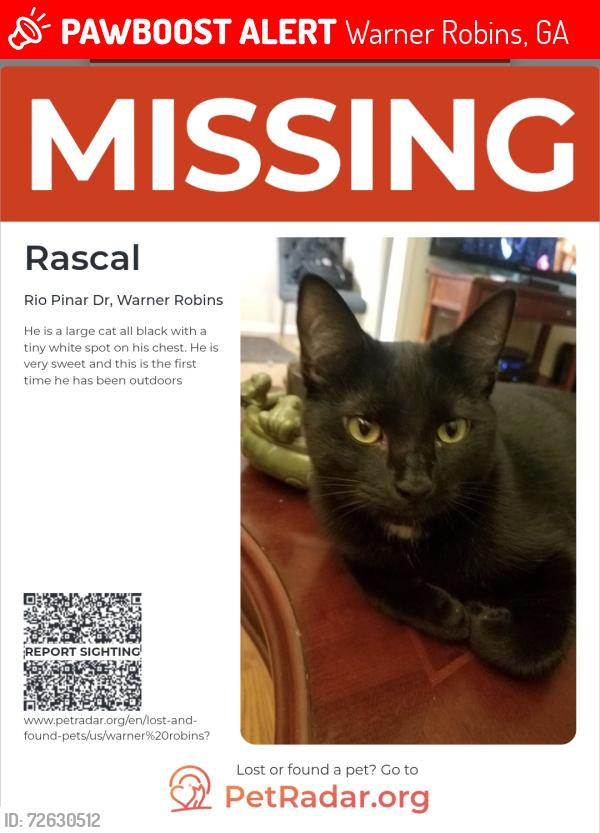 Lost Male Cat last seen Smithfield church road, Warner Robins, GA 31088