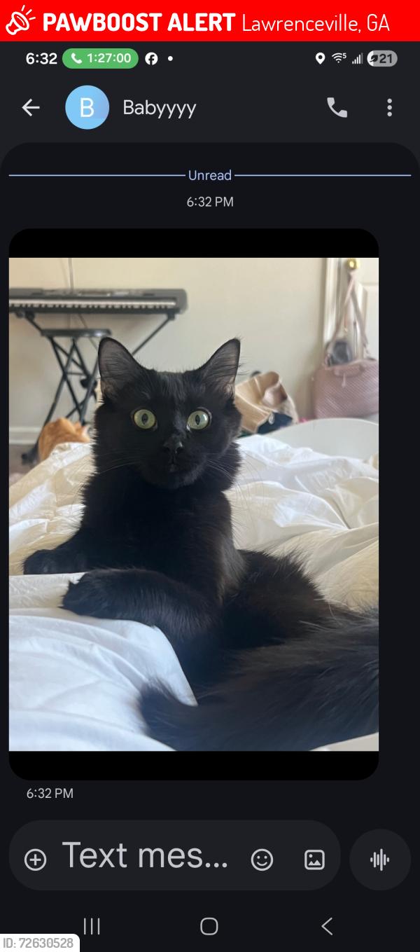 Lost Female Cat last seen Hurricane Shoals , Lawrenceville, GA 30046