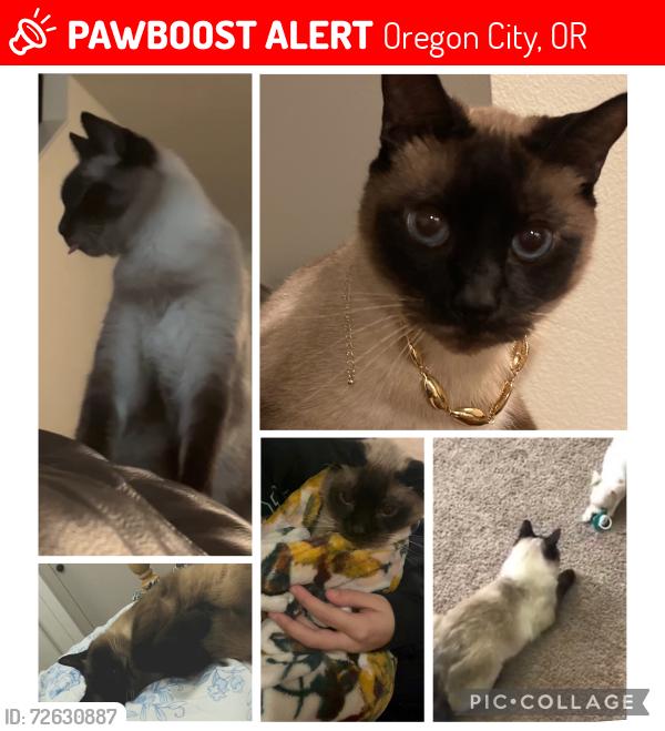 Lost Male Cat last seen S Meyers rd , Oregon City, OR 97045