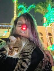 Lost Male Cat last seen 9th and PCH sunset beach , Huntington Beach, CA 92649